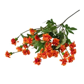 Garoafă de grădină, ramură 70cm înălțime - Portocaliu