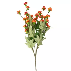 Garoafă de grădină, ramură 70cm înălțime - Portocaliu