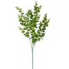 Buchet de eucalipt, 3 ramuri, 70cm - Verde deschis