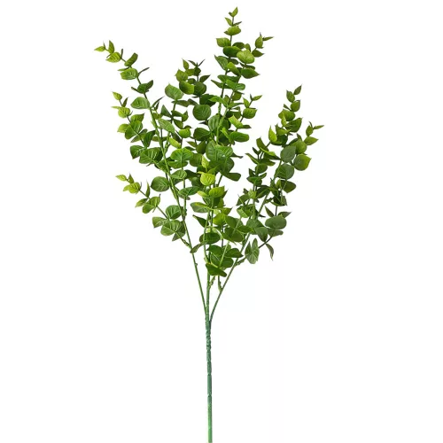Buchet de eucalipt, 3 ramuri, 70cm - Verde deschis