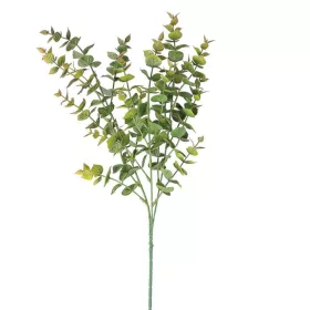 Buchet de eucalipt, 3 ramuri, 70cm - Verde / Maro