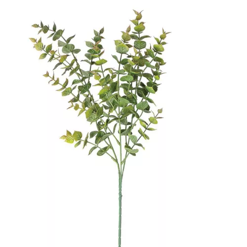 Buchet de eucalipt, 3 ramuri, 70cm - Verde / Maro