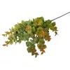 Buchet de eucalipt, 3 ramuri, 70cm - Verde / Maro