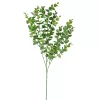 Buchet de eucalipt, 3 ramuri, 70cm - Verde închis