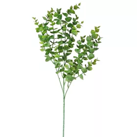 Buchet de eucalipt, 3 ramuri, 70cm - Verde închis