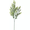 Buchet de eucalipt, 3 ramuri, 70cm - Verde / Alb