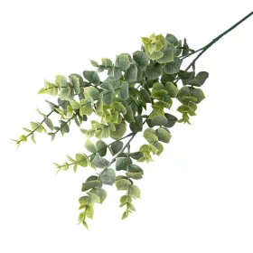 Buchet de eucalipt, 3 ramuri, 70cm - Verde / Alb