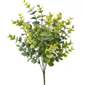 Buchet de eucalipt, 5 ramuri, 37cm - Verde / Verde deschis
