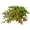 Buchet de eucalipt, 5 ramuri, 37cm - Verde / Maro
