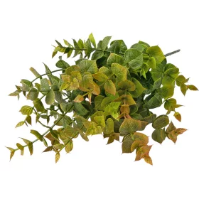 Buchet de eucalipt, 5 ramuri, 37cm - Verde / Maro