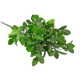 Buchet de eucalipt, 7 ramuri, 34cm - Verde închis