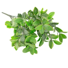 Buchet de eucalipt, 7 ramuri, 34cm - Verde deschis