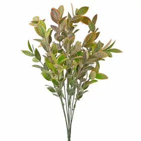 Buchet de eucalipt, 7 ramuri, 34cm - Verde / Maro