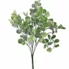 Buchet de eucalipt, 7 ramuri, 34cm - Verde deschis