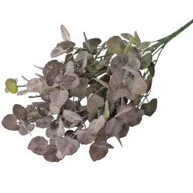 Buchet de eucalipt, 7 ramuri, 34cm - Verde / Mov