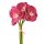 Buchet de orhidee real touch, 6 fire, 33cm - Bordeaux