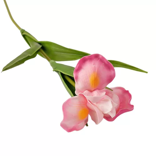Fir de iris real touch, 58cm - Roz