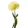 Fir de dalie, 50cm - Ecru