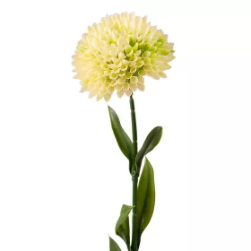 Fir de dalie, 50cm - Ecru