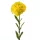 Fir de dalie, 50cm - Galben