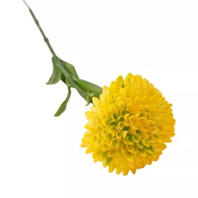 Fir de dalie, 50cm - Galben