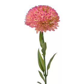 Fir de dalie, 50cm - Roz