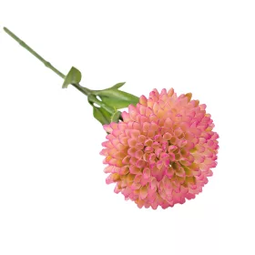 Fir de dalie, 50cm - Roz