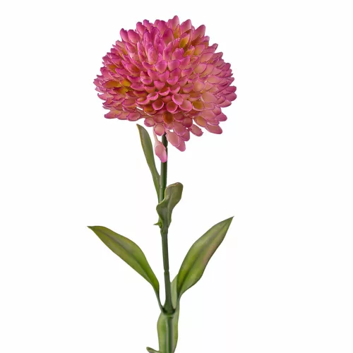 Fir de dalie, 50cm - Mov