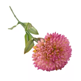 Fir de dalie, 50cm - Mov