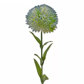 Fir de dalie, 50cm - Albastru