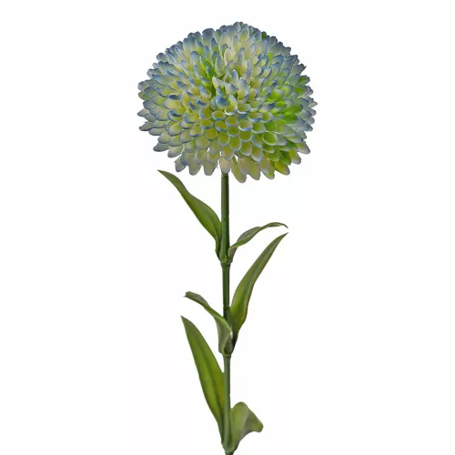 Fir de dalie, 50cm - Albastru