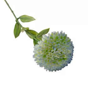 Fir de dalie, 50cm - Albastru