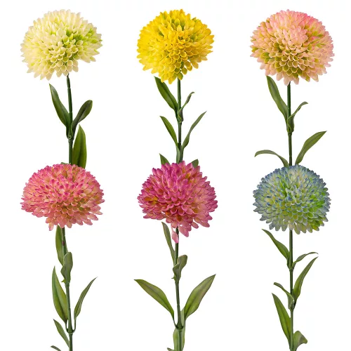 Fir de dalie, 50cm - Mix 48 bucăți