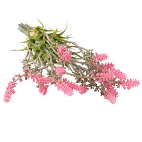 Buchet de lavandă, 30cm - Roz