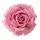 Cap de trandafir din mătase, 11cm - Roz închis