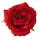 Cap de trandafir din mătase, 11cm - Roșu