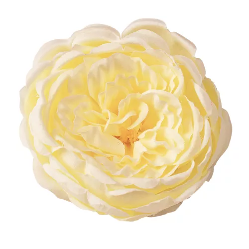 Cap de trandafir englezesc din mătase, 10.5cm - Crem