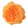 Cap de trandafir englezesc din mătase, 10.5cm - Portocaliu
