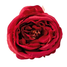 Cap de bujor din mătase, 7cm - Bordeaux