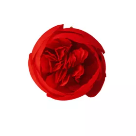 Buttercup Cap de floare din mătase, 3cm - Roșu