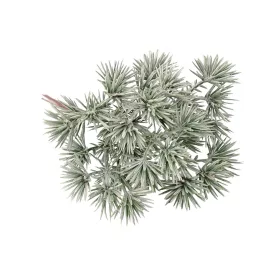   Decor buchet cu scaiete ⌀ 2cm, 6 fire, 14cm înălțime - Verde