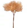 Decor buchet cu flori țepoase ⌀ 3.5cm, 6 fire, 14cm înălțime - Auriu