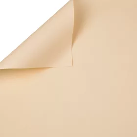Folie decorativă pentru ambalaj 58cm x 58cm, 20buc - Crem