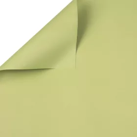 Folie decorativă pentru ambalaj 58cm x 58cm, 20buc - Verde