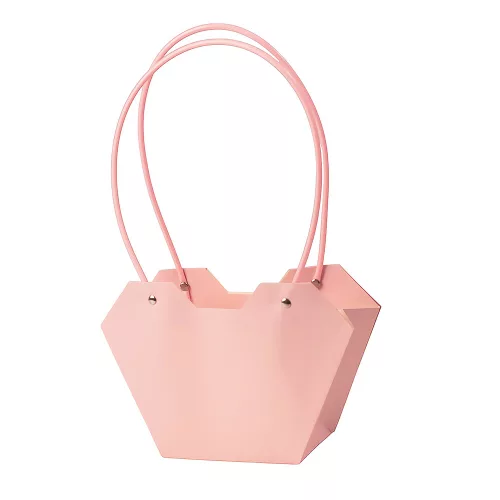 10 buc. Pungi pentru flori 23.5(î) x 12.5(l) x 3.5(a) cm - Bej pudrat