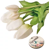 Produse de primăvară